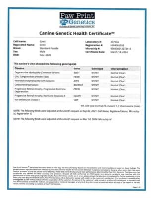 Gimli DNA