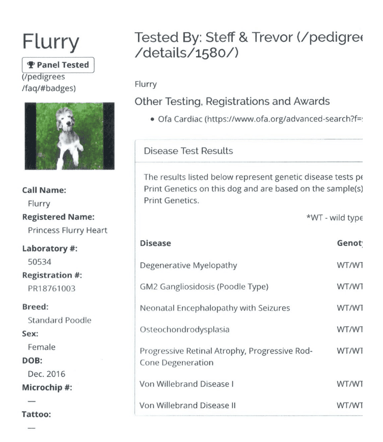 Flurry DNA