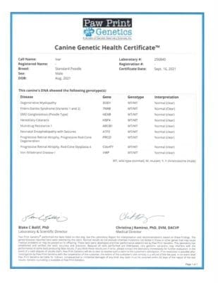 IVAR DNA results
