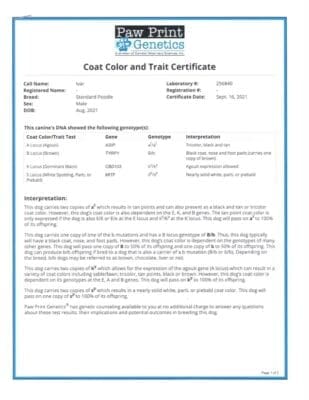 Ivar DNA results